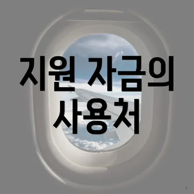 지원 자금의 사용처