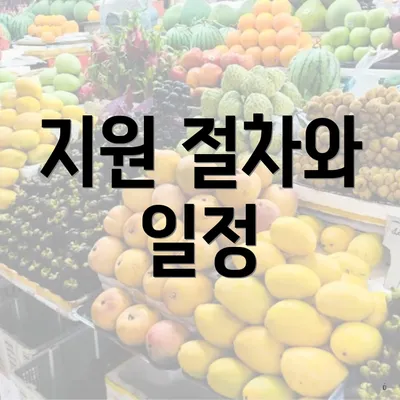 지원 절차와 일정
