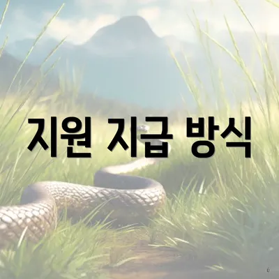 지원 지급 방식