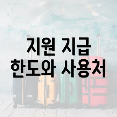 지원 지급 한도와 사용처