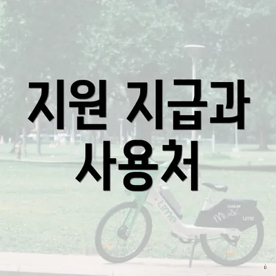 지원 지급과 사용처