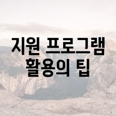 지원 프로그램 활용의 팁