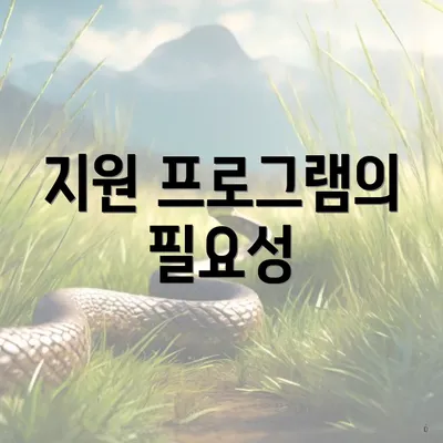 지원 프로그램의 필요성