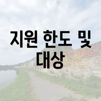 지원 한도 및 대상