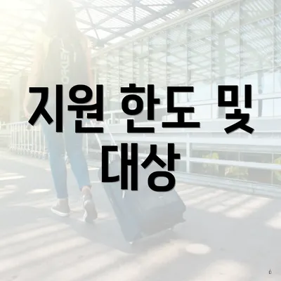 지원 한도 및 대상