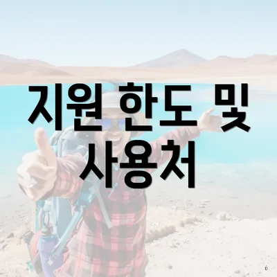 지원 한도 및 사용처