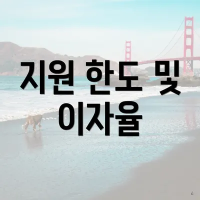 지원 한도 및 이자율