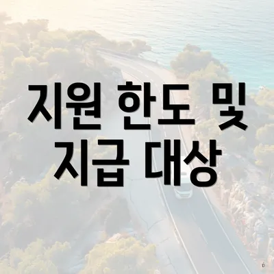 지원 한도 및 지급 대상