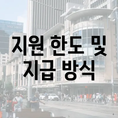 지원 한도 및 지급 방식