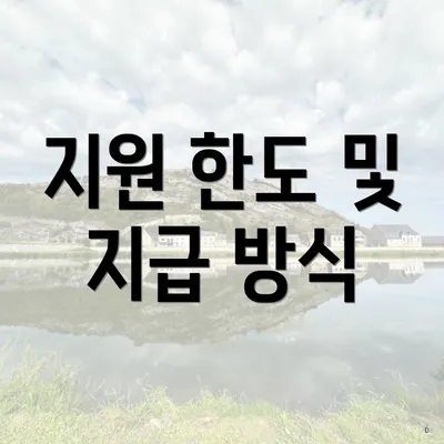 지원 한도 및 지급 방식
