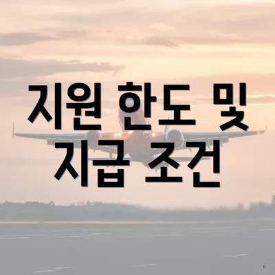 지원 한도 및 지급 조건