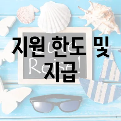 지원 한도 및 지급
