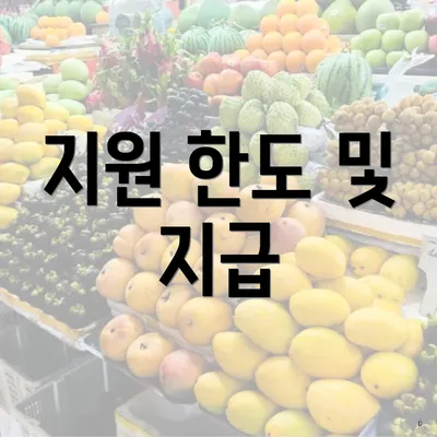 지원 한도 및 지급