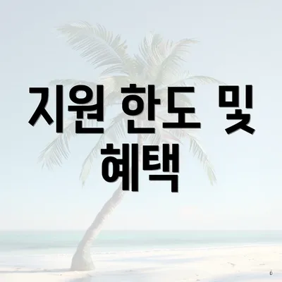 지원 한도 및 혜택