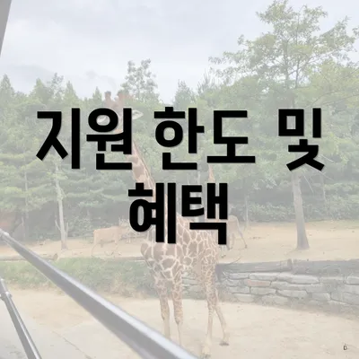 지원 한도 및 혜택