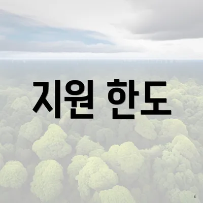 지원 한도