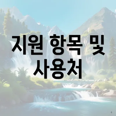 지원 항목 및 사용처