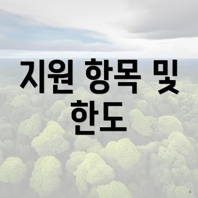 지원 항목 및 한도