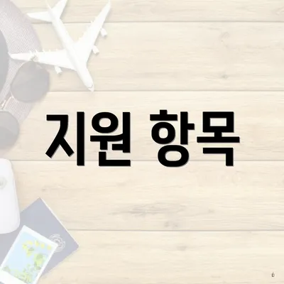 지원 항목