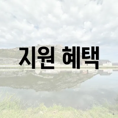 지원 혜택