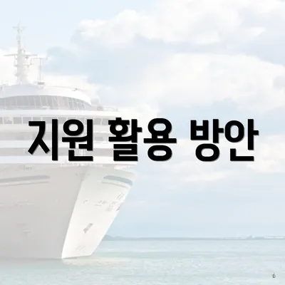 지원 활용 방안
