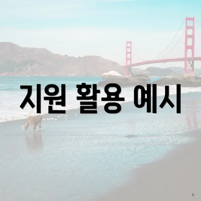 지원 활용 예시