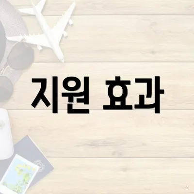 지원 효과