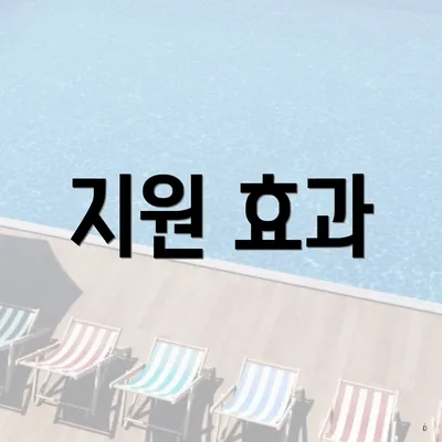지원 효과