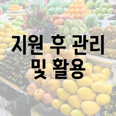지원 후 관리 및 활용