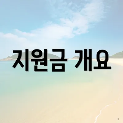 지원금 개요