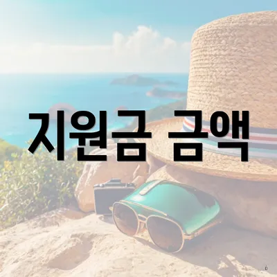지원금 금액