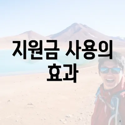 지원금 사용의 효과