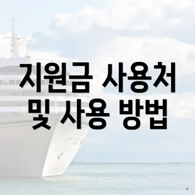 지원금 사용처 및 사용 방법