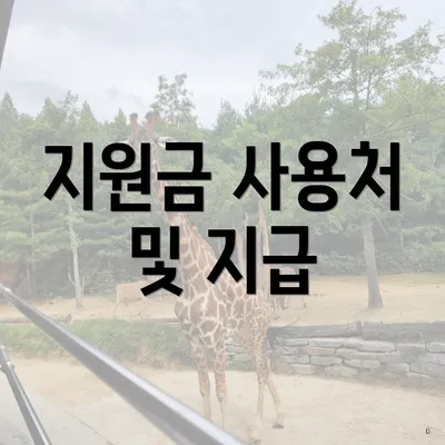 지원금 사용처 및 지급