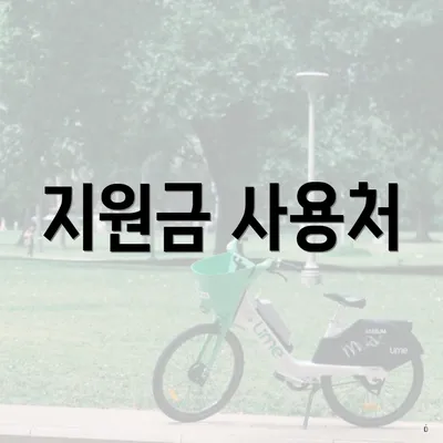 지원금 사용처