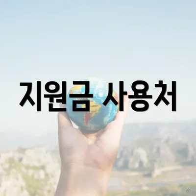지원금 사용처
