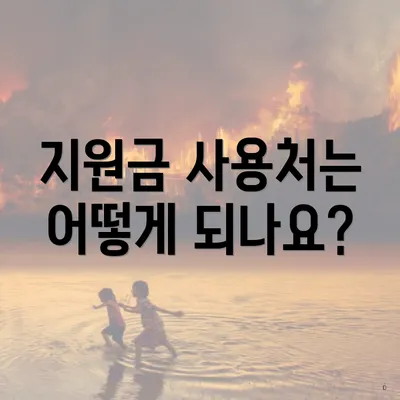 지원금 사용처는 어떻게 되나요?
