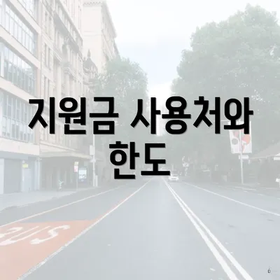 지원금 사용처와 한도