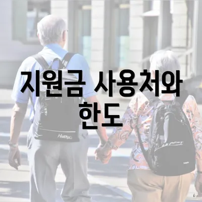 지원금 사용처와 한도
