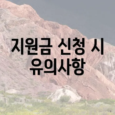 지원금 신청 시 유의사항