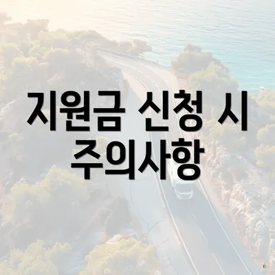 지원금 신청 시 주의사항