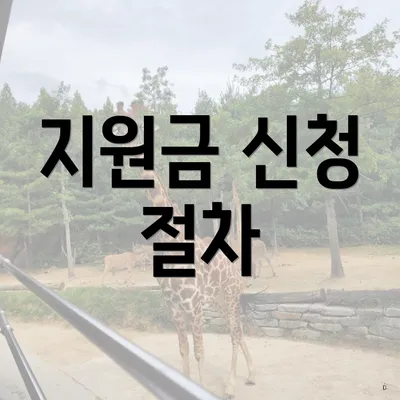 지원금 신청 절차