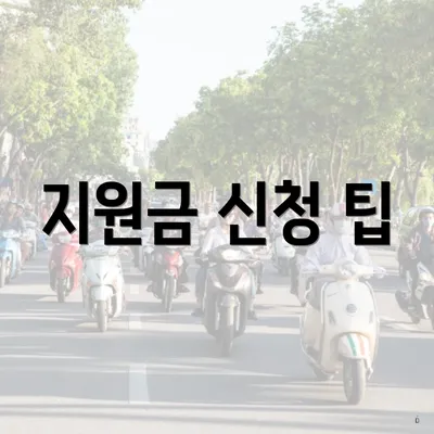 지원금 신청 팁
