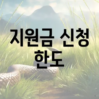 지원금 신청 한도