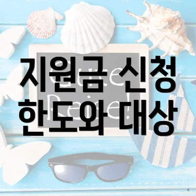 지원금 신청 한도와 대상