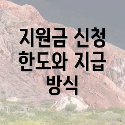 지원금 신청 한도와 지급 방식