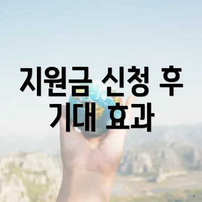 지원금 신청 후 기대 효과