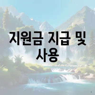 지원금 지급 및 사용