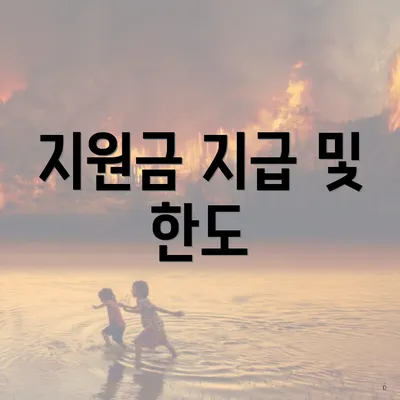 지원금 지급 및 한도