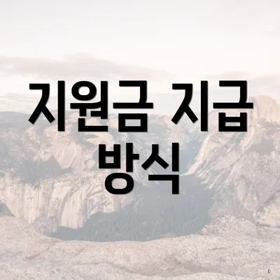 지원금 지급 방식